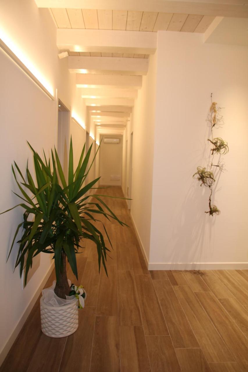 Casablanca Hotel 西维尔诺瓦·马尔凯 外观 照片